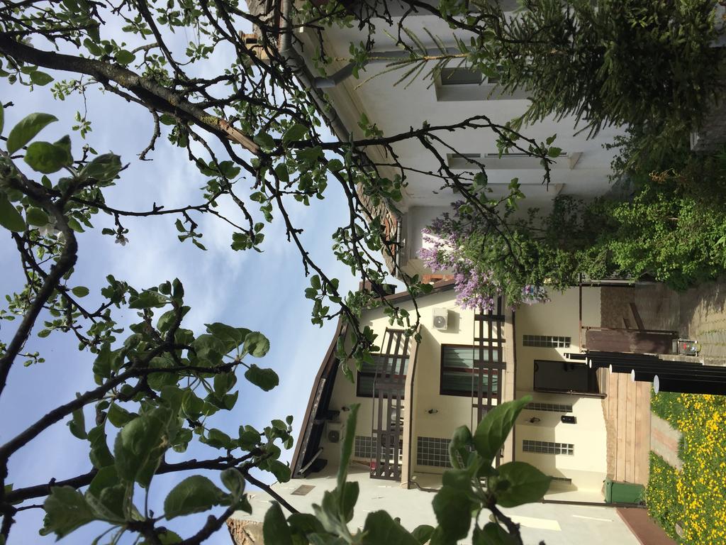 Casa Transilvania Brașov Exterior foto